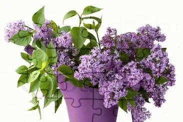 imagens jigsaw puzzle
