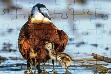 mom#206 jigsaw puzzle
