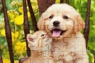פאזל של imagens