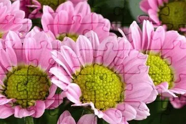 imagens jigsaw puzzle