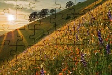  jigsaw puzzle