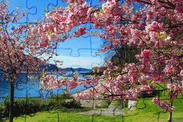 flowers jigsaw puzzle