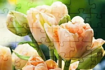 imagens jigsaw puzzle