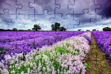 flowers jigsaw puzzle