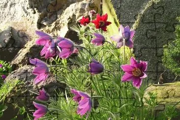 imagens jigsaw puzzle