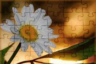 imagens jigsaw puzzle