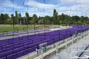 Purple Running Track-Aue, Germany
