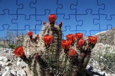 mag013 jigsaw puzzle