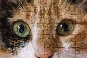 Minina jigsaw puzzle