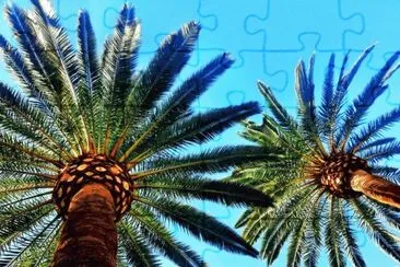 imagens jigsaw puzzle