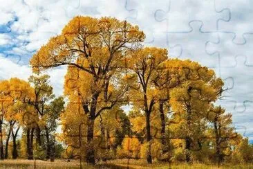 imagens jigsaw puzzle