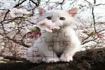 apr3 jigsaw puzzle