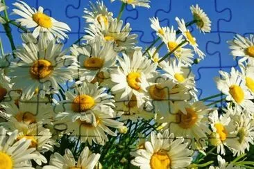 imagens jigsaw puzzle