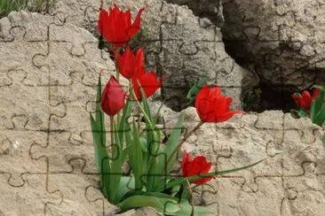 imagens jigsaw puzzle
