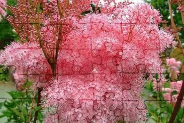 imagens jigsaw puzzle