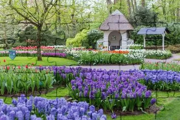 Beautiful Spring Garden