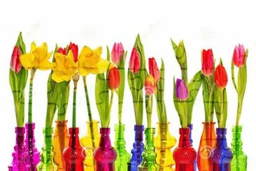 Colors