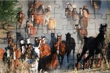 121 jigsaw puzzle