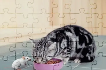 convidame jigsaw puzzle