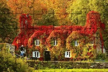 multicolor jigsaw puzzle