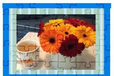 ×¤×¨×—×™×