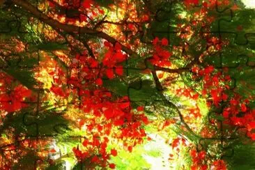 imagens jigsaw puzzle