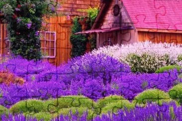 imagens jigsaw puzzle