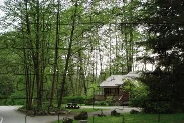 æ£®æž—å°æœ¨å±‹