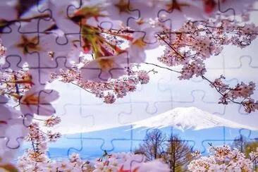 primavera