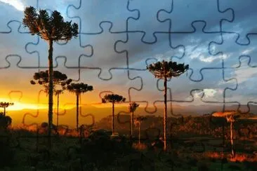 imagens jigsaw puzzle