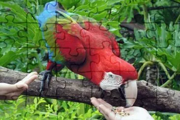 040803 jigsaw puzzle