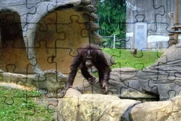 040806 jigsaw puzzle