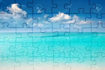 seaShell jigsaw puzzle
