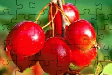 imagens jigsaw puzzle