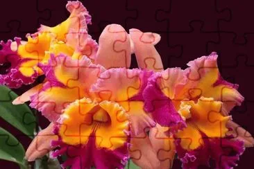 imagens jigsaw puzzle