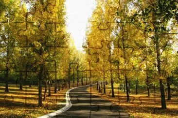 otoÃ±o