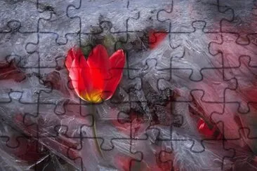 imagens jigsaw puzzle