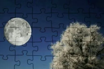 imagens