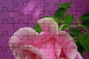 imagens jigsaw puzzle
