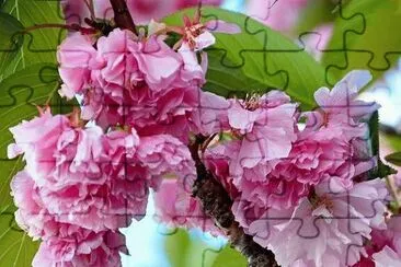 imagens jigsaw puzzle