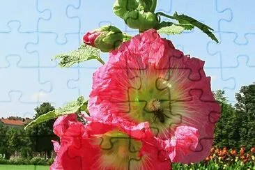 imagens jigsaw puzzle