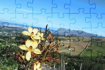 imagens jigsaw puzzle
