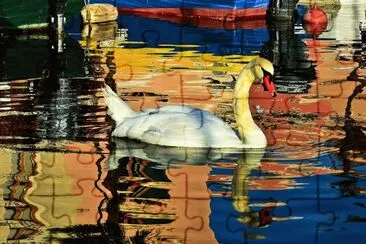 reflejos jigsaw puzzle