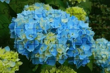 imagens jigsaw puzzle