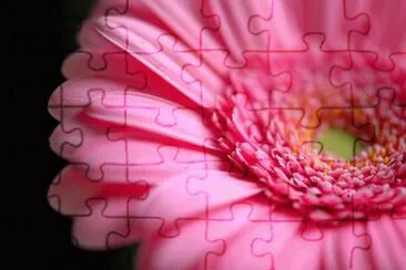 flowers jigsaw puzzle