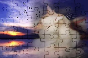 imagens jigsaw puzzle