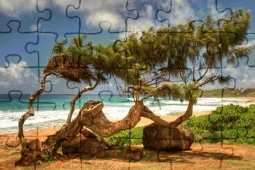 imagens jigsaw puzzle