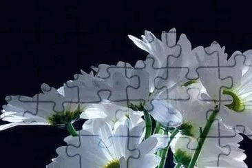 imagens jigsaw puzzle