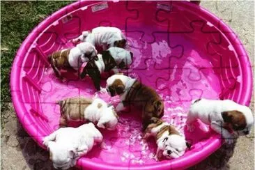 123 jigsaw puzzle