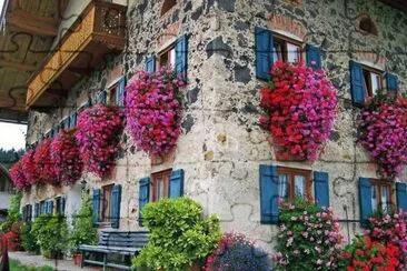 casa florida jigsaw puzzle